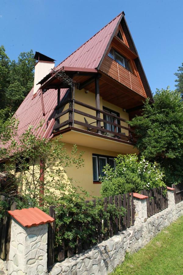 Caloroczny Agata *