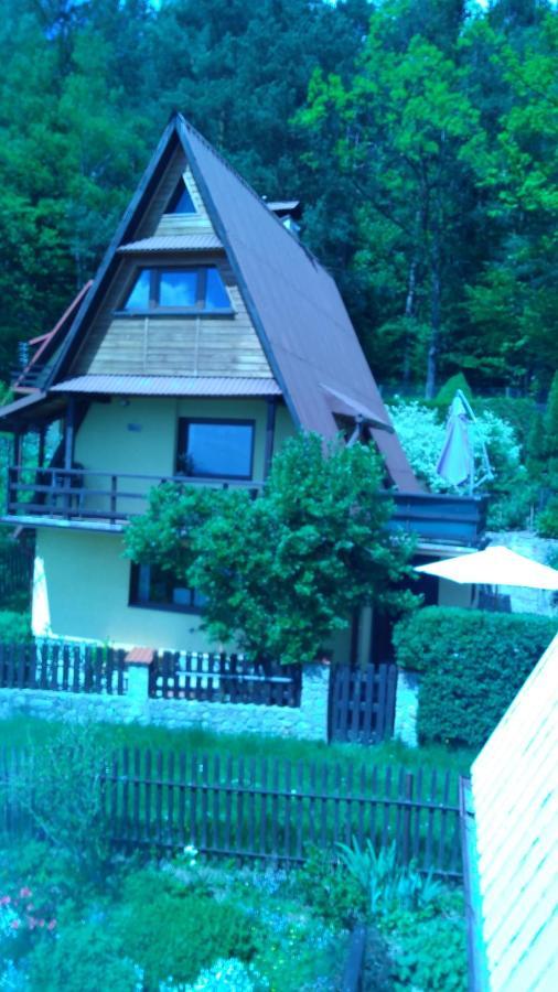 Caloroczny Agata Tresna